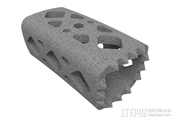ChoiceSpine LP和Nexxt Spine的3D打印脊柱植入物均获得FDA批准