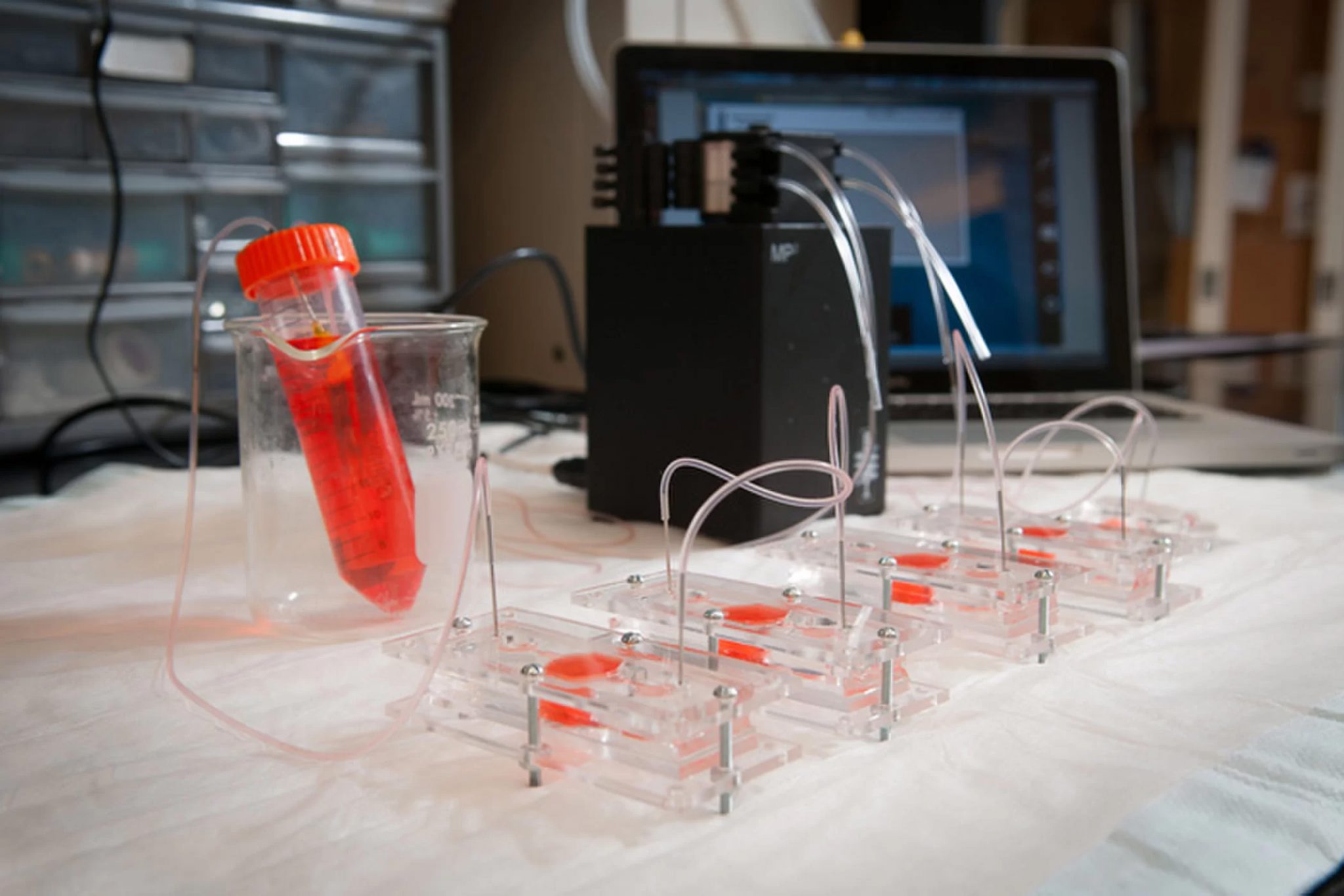 美国科学家研发出3D打印多器官微流控芯片 可用于药物测试