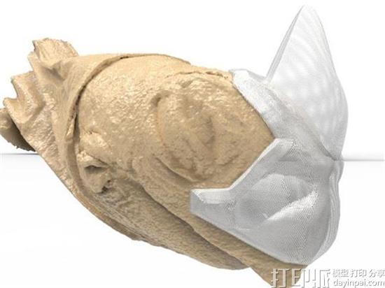 兽医为枫叶龟诺克斯3D打印微型面具 有效保护其受伤的面部