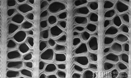 从蝴蝶翅膀结构中获得灵感 科学家开发出创新型3D打印太阳能电池板