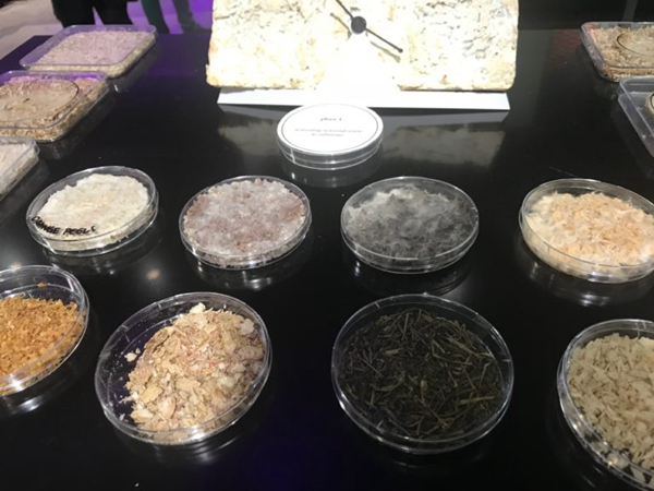 荷兰设计周上几款有趣的3D打印作品图赏