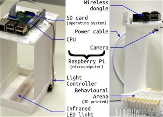 研究人员开发出允许科学家研究果蝇生活的3D打印机器人装置