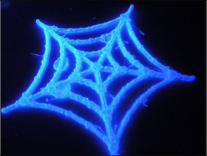 蜘蛛网3d模型