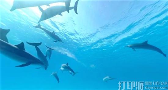 荷兰公益组织开发出防水3D打印VR眼镜 让残疾人可与海豚“游泳” 荷兰公益组织开发出防水3D打印VR眼镜 让残疾人可与海豚“游泳”