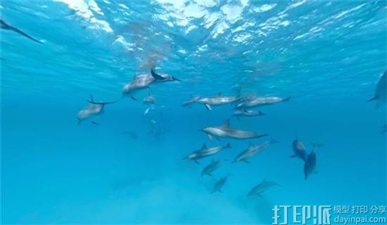 荷兰公益组织开发出防水3D打印VR眼镜 让残疾人可与海豚“游泳” 荷兰公益组织开发出防水3D打印VR眼镜 让残疾人可与海豚“游泳”