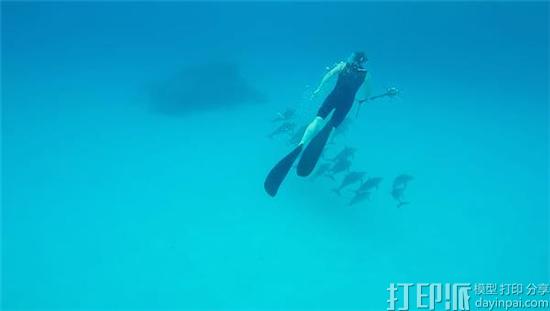 荷兰公益组织开发出防水3D打印VR眼镜 让残疾人可与海豚“游泳” 荷兰公益组织开发出防水3D打印VR眼镜 让残疾人可与海豚“游泳”