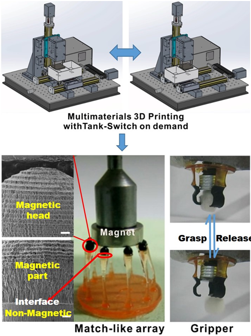 兰州化物所多材料3D打印免装配柔性驱动器取得了一定进展