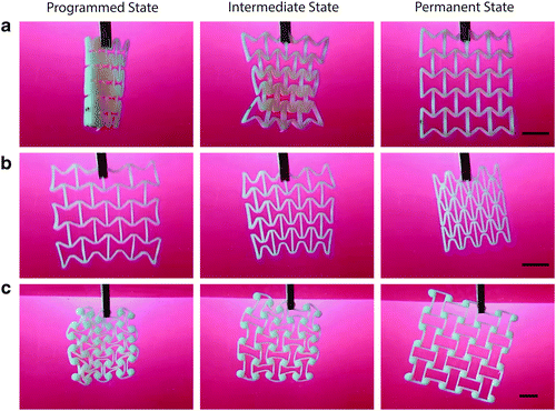 瑞士研究人员利用热能在4D打印方面取得新突破