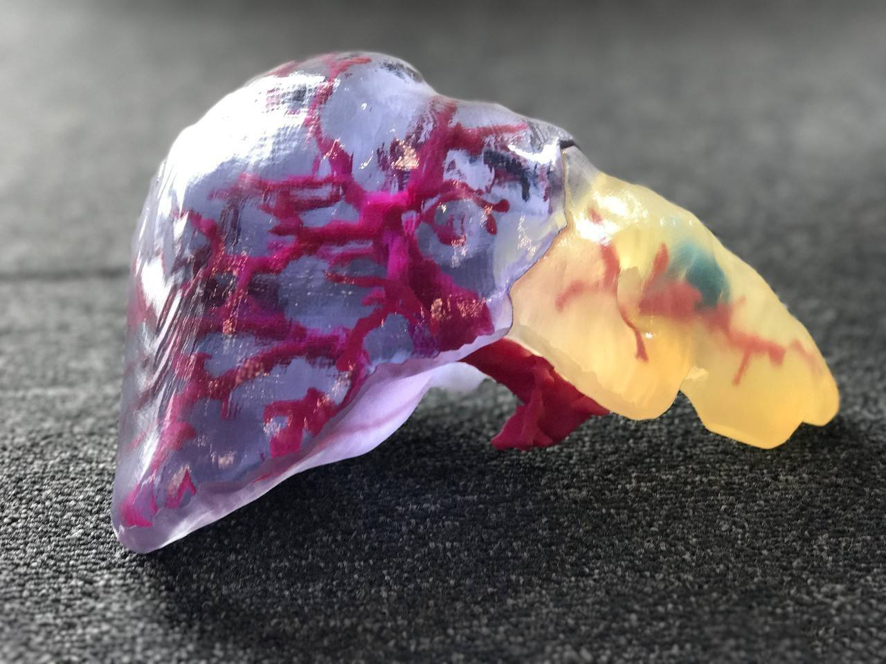 3D打印技术在临床医学教学中的应用