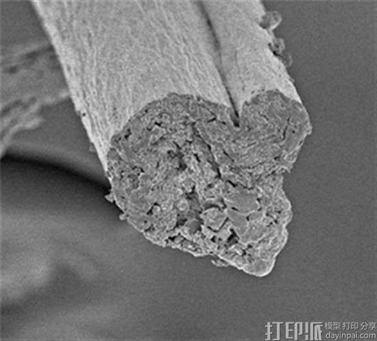研究人员将纤维素纳米纤维转换为多功能的生物基3D打印材料