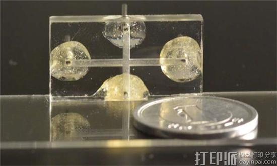 3D打印微流体技术帮助OIST研究液体中的旋涡 可为石油工业节省成本