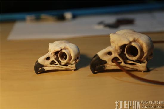 美国创客用制作3D打印的《刺客信条》中秃鹰头骨的情侣吊坠 美国创客用制作3D打印的《刺客信条》中秃鹰头骨的情侣吊坠