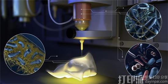 科学家研发出3D打印细菌墨水Flink 能帮助治疗皮肤烧伤 科学家研发出3D打印细菌墨水Flink 能帮助治疗皮肤烧伤
