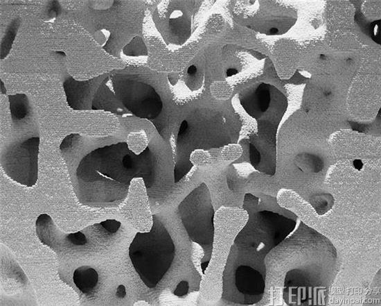 慕尼黑大学开发出3D打印复杂建筑结构的“选择性结合”方法