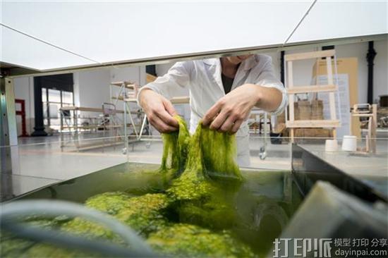 荷兰设计师发明出由藻类植物制成的环保型3D打印生物材料
