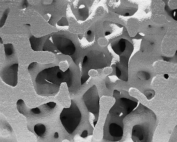 慕尼黑大学开发出3D打印复杂建筑结构的“选择性结合”方法