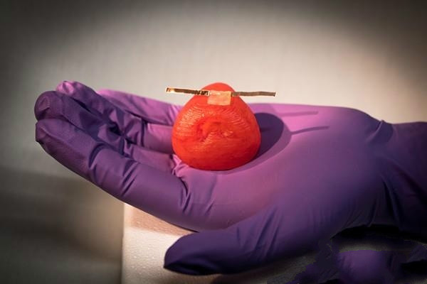 明尼苏达大学研究员成功运用3D打印制造出器官复制品