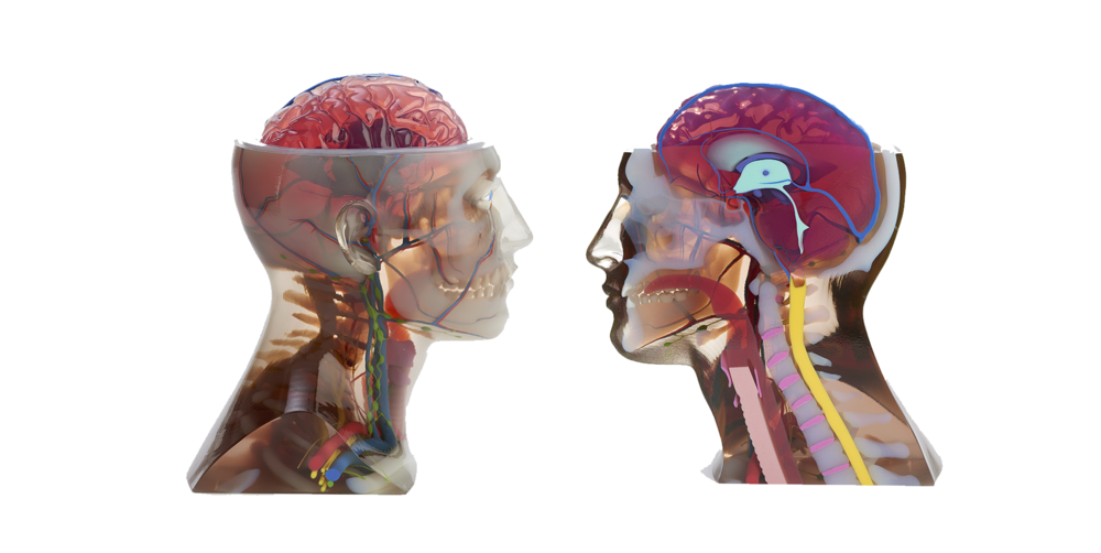 SSM Health Cardinal Glennon儿童医院推出3D打印卓越中心