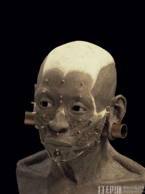 ancient-peruvian-noblewomans-head-reconstructed-using-3d-printing-with-uncanny-results-7.jpg