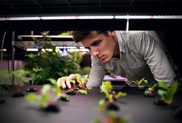 Farmshelf公司为城市农业系统使用高性价比的定制3D打印部件