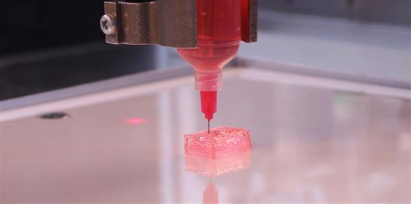 大阪大学研究人员开创了3D生物印刷技术中生物墨水附着的新方法