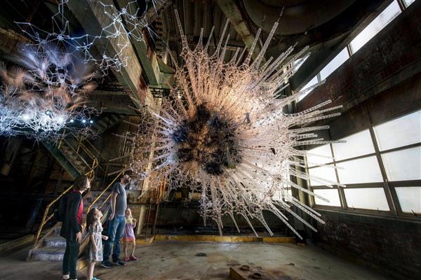 加拿大建筑公司将3D打印和人工智能（AI）结合，打造星形胶质细胞