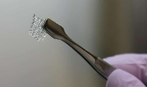 福音！3D打印卵巢有望让更多女性享有生育权利