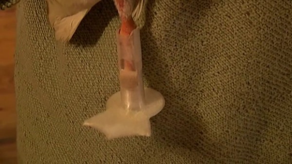 超级有爱心！阿肯色州青少年创造为受伤鸭子3D打印假腿