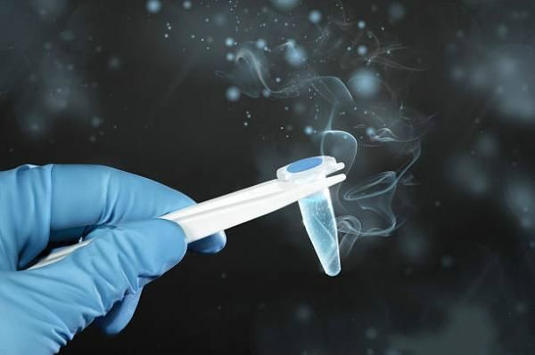 德国科学家发现用3D打印“生化精子” 可辅助子宫颈癌治疗