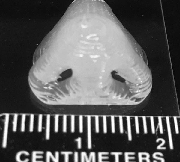 混合PDMS弹性体产生强大的3D打印部件，具有优异的细胞粘附性