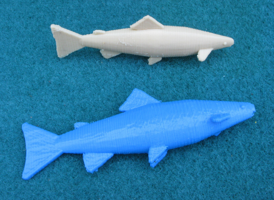 小巧3d鱼模型