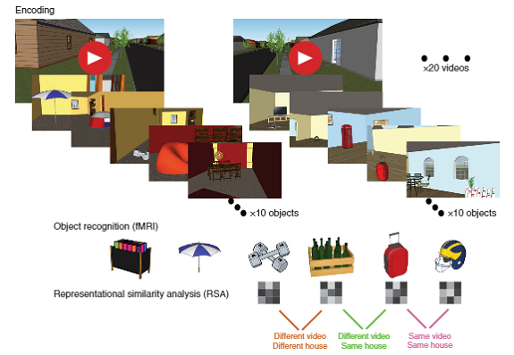 美国研究人员使用3D虚拟现实房屋来探索记忆