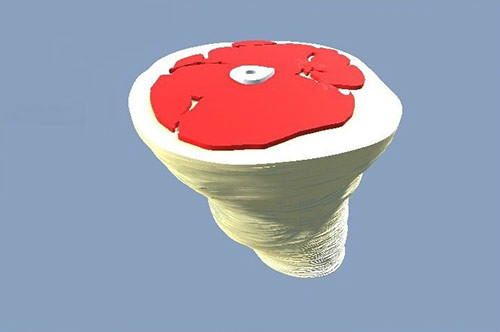 托木斯克理工大学研究员使用3D打印技术改善放射治疗计划