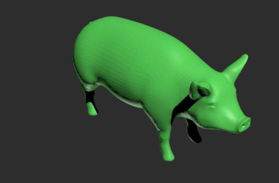 自然界野猪模型