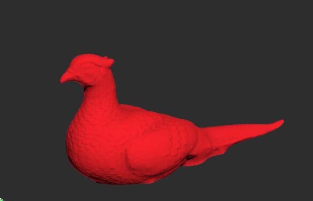 草原山鸡模型