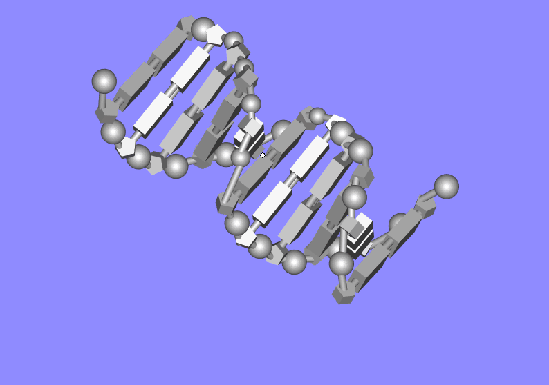 高中生物DNA双螺旋结构模型