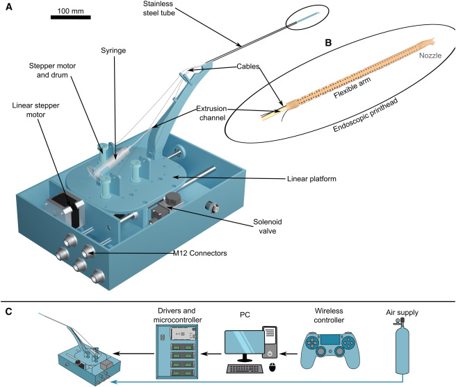 麦吉尔大学研究人员开发微型生物打印机，旨在促进声带愈合