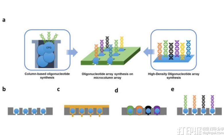 韩国延世大学3D打印微柱阵列实现DNA合成高通量与高产结合