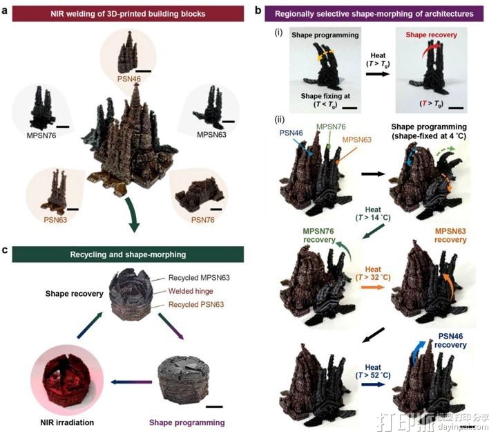 韩国研究团队将石油精炼废料转化为4D打印软体机器人