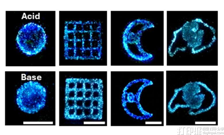 科罗拉多大学3D生物打印发光活体材料：化学触发让甲藻持续发光四周，可重复使用
