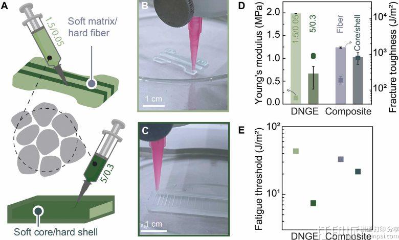 EPFL研究人员打造抗断裂与抗疲劳的3D打印弹性体 EPFL研究人员打造抗断裂与抗疲劳的3D打印弹性体